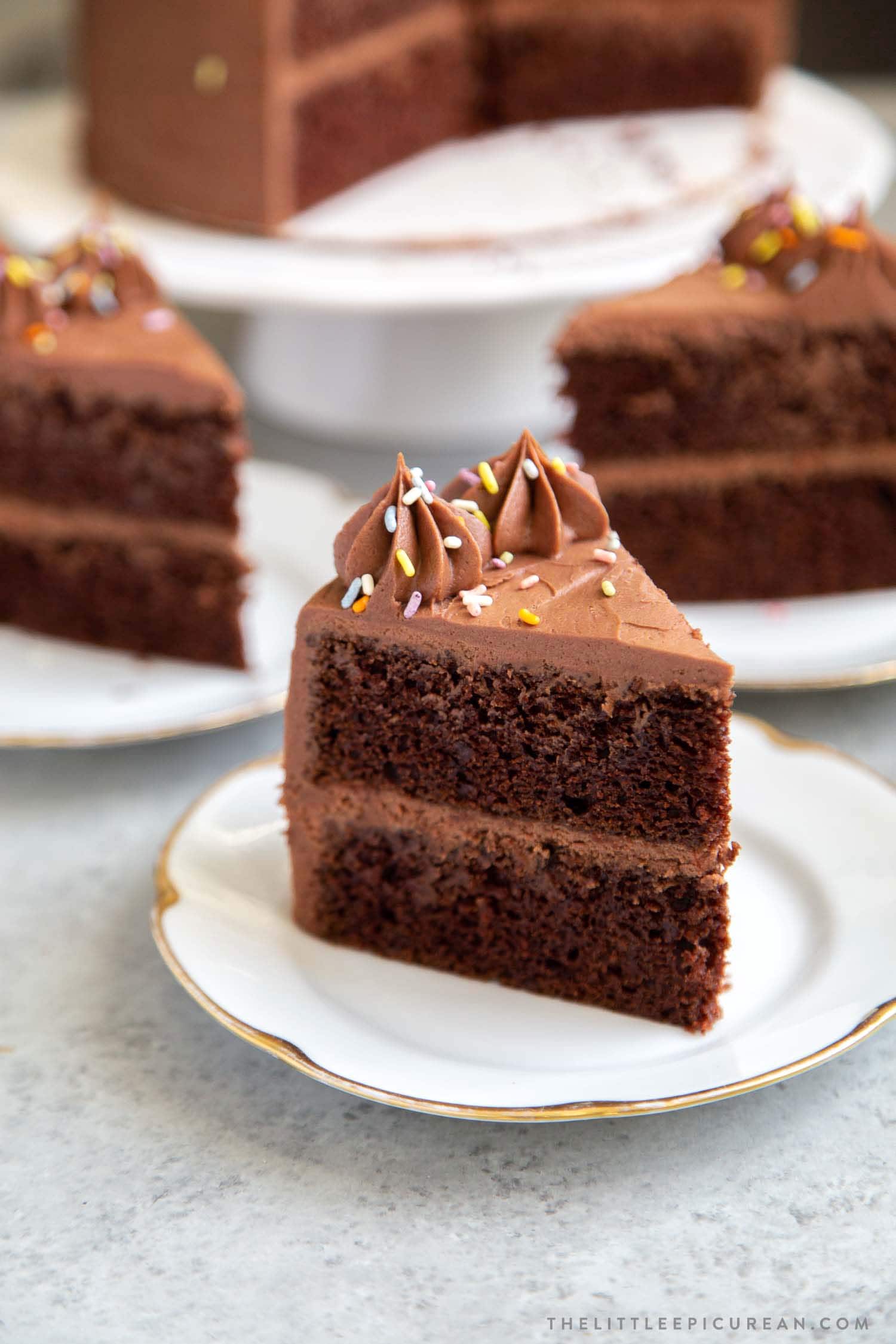 Classic chocolate cake slice topped with rainbow sprinkles. Two layer chocolate cake with simple chocolate American buttercream.