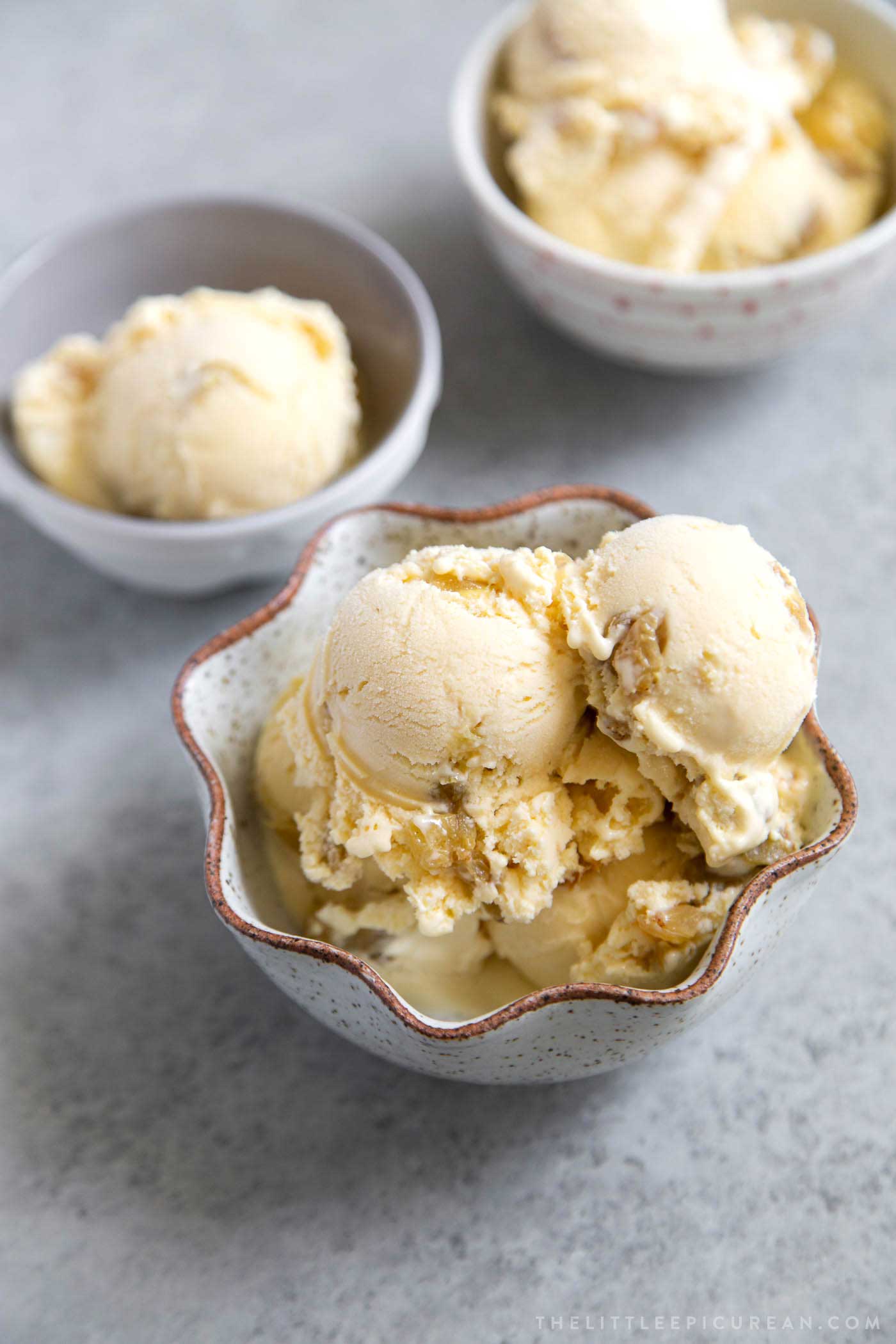 Rum Raisin Ice Cream featuring golden raisins soaked in dark rum for three days