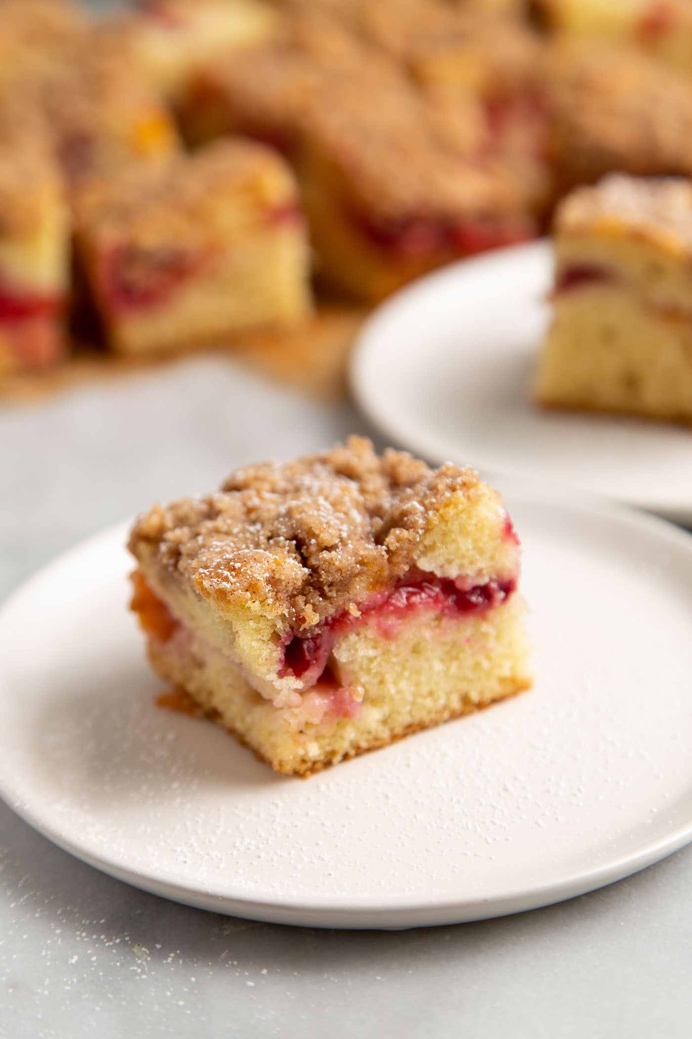 Slice of Plumcot Crumb Cake