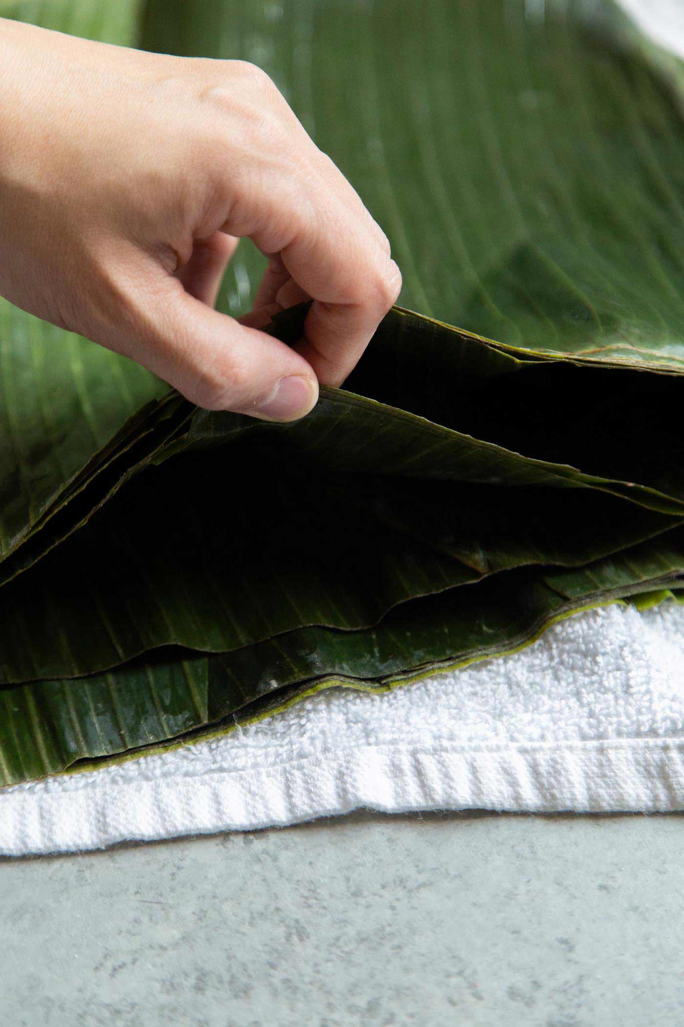 Frozen Banana Leaves