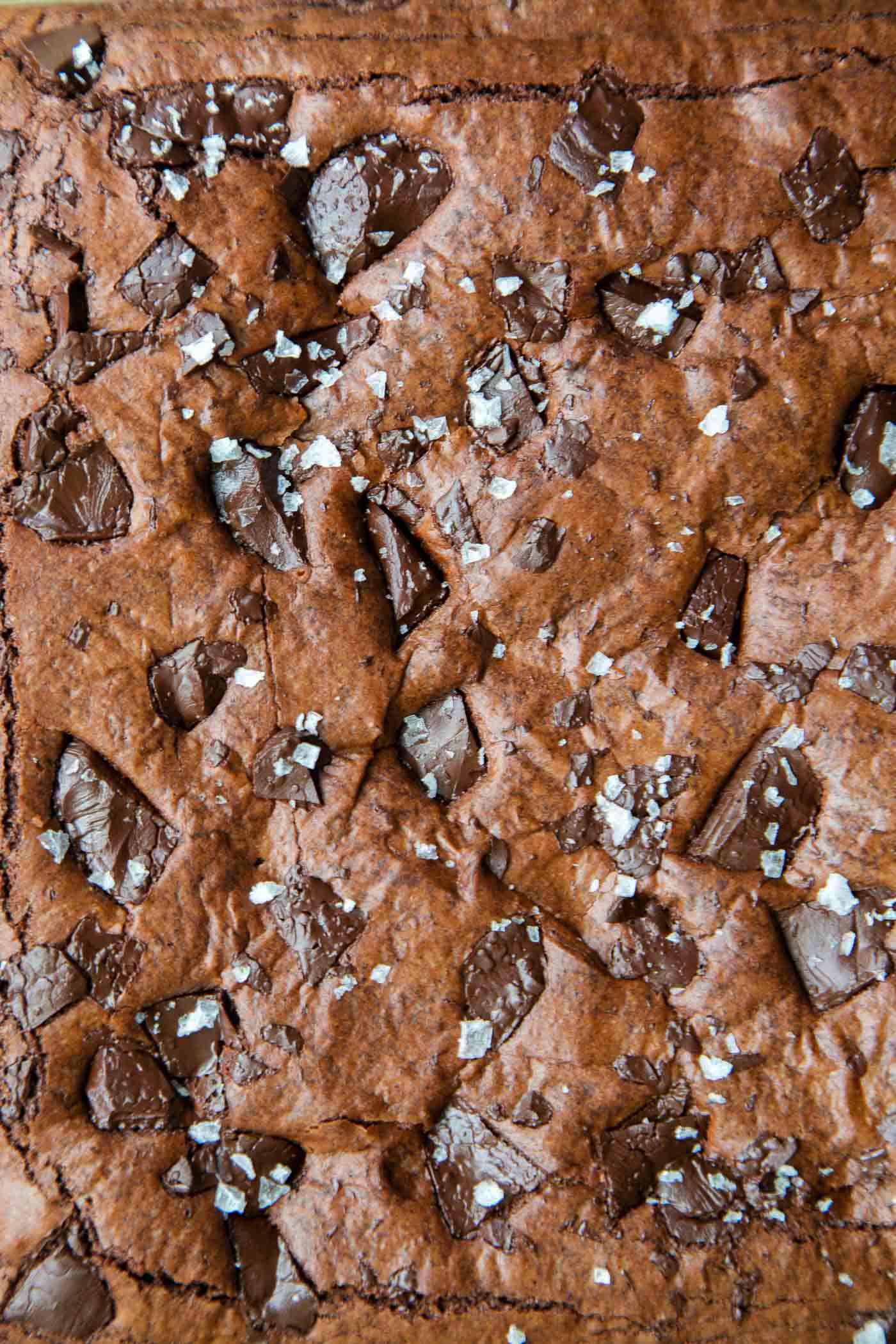 olive oil brownies with chocolate chunks