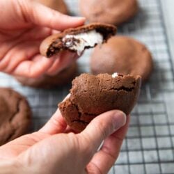 Peppermint Patty Chocolate Cookies