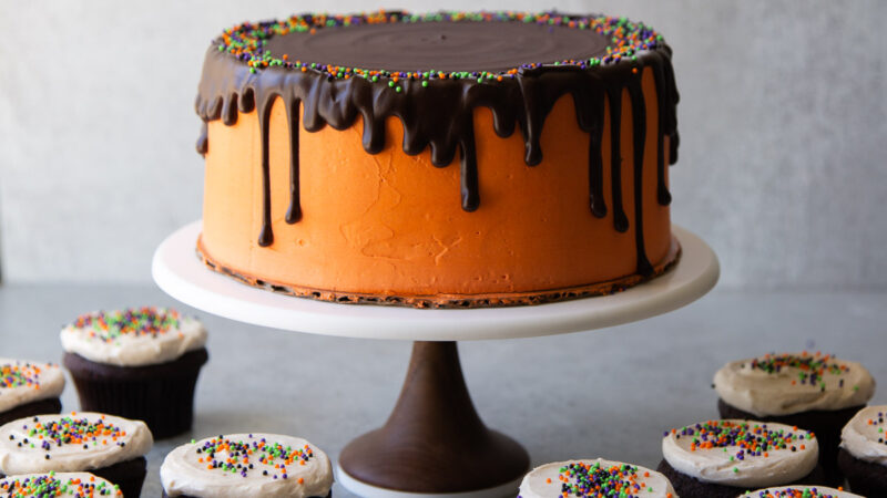 chocolate pumpkin layer cake with chocolate drizzle surrounded by chocolate pumpkin cupcakes