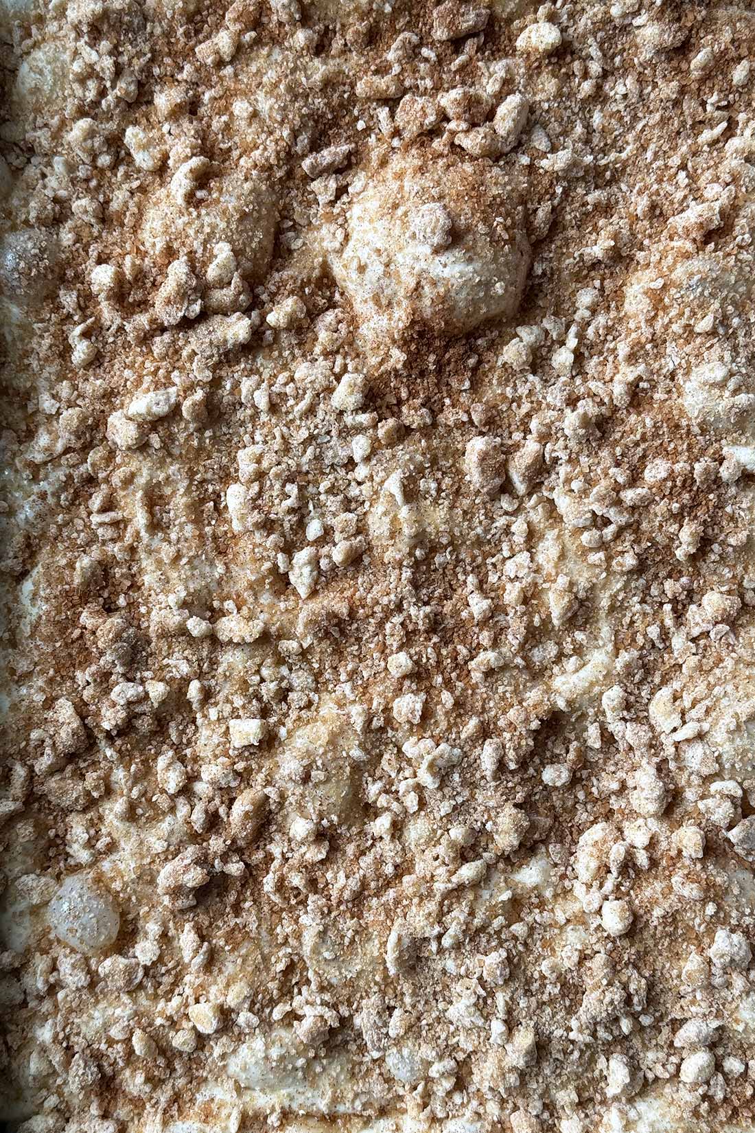 sprinkle crumble crumb topping all over docked focaccia dough.