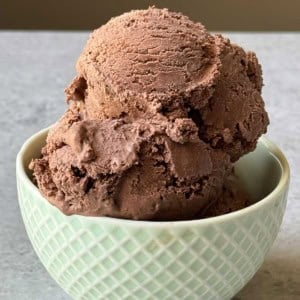 scoops of chocolate cake chocolate ice cream in serving bowl.